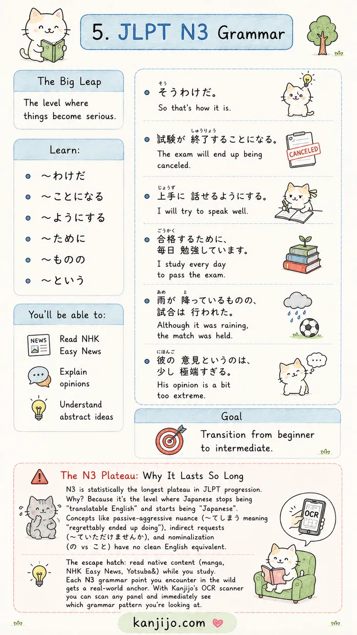 Kanjijo JLPT grammar N5 to N1 roadmap screenshot 4