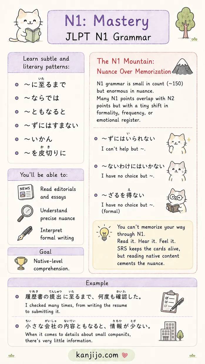 Kanjijo JLPT grammar N5 to N1 roadmap screenshot 6